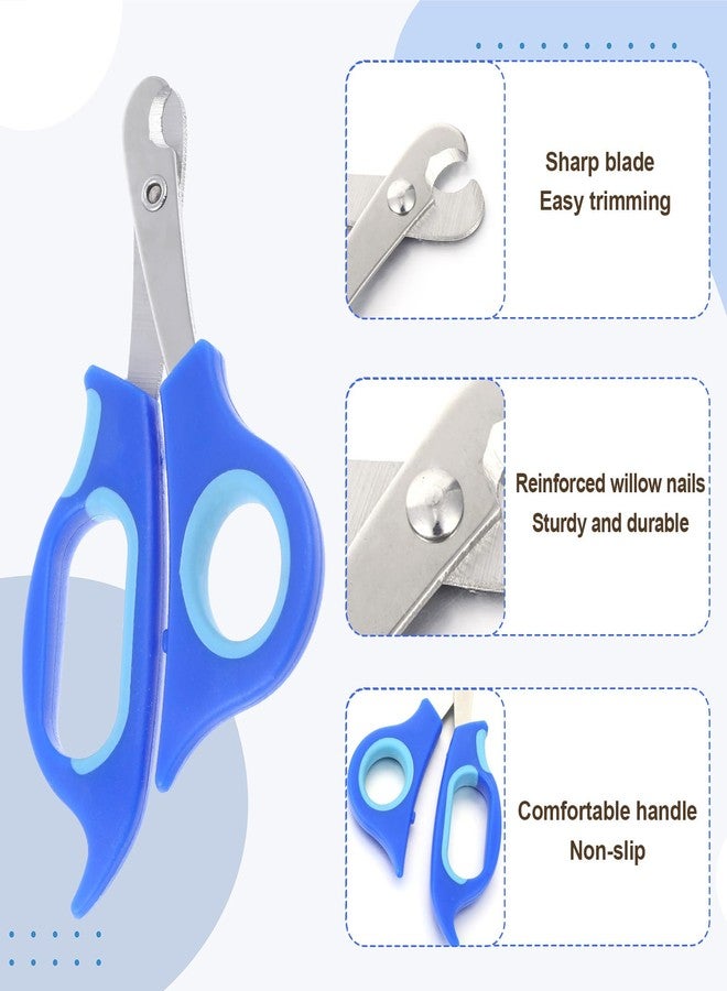 Qiuruoo Bearded Dragon Nail Clippers,Stainless Steel Bearded Dragon Accessories,Professional Grooming pet Tools Including Nail File and Scissors for Small Reptiles,Chameleon,Cats,Dogs,Iguana - Image 3
